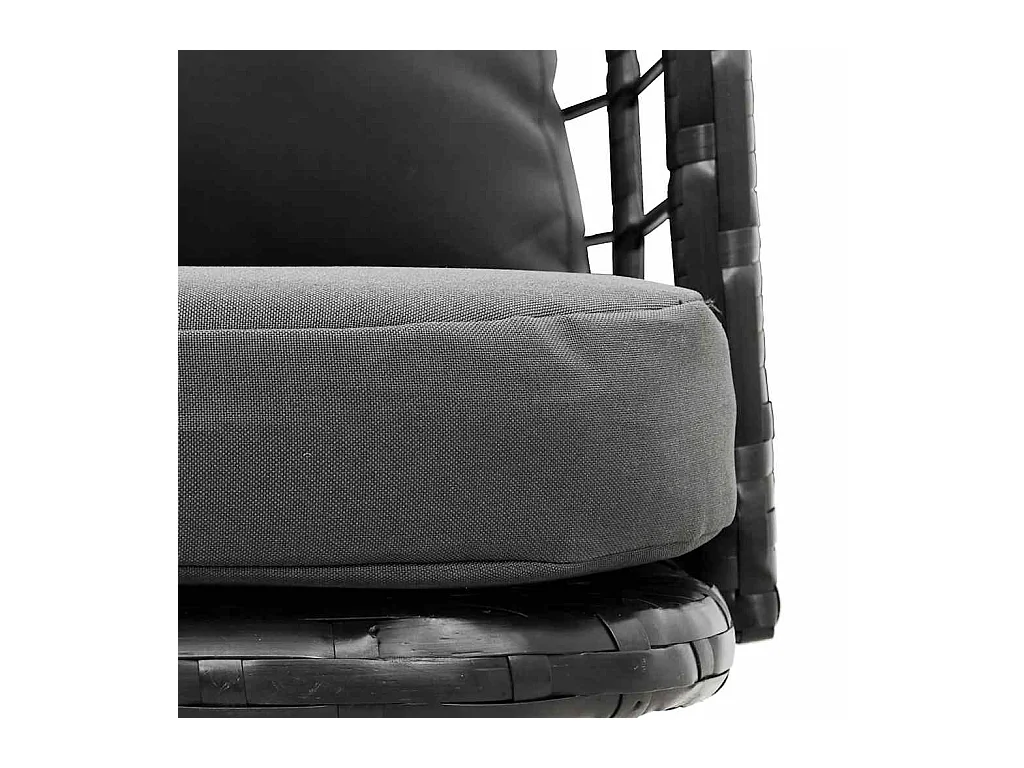 Chaises de jardin lot de 2 avec coussins noir résine tressée