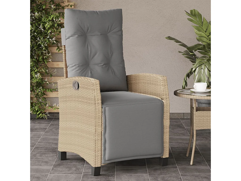Chaises inclinables de jardin lot de 2 avec repose-pied rotin