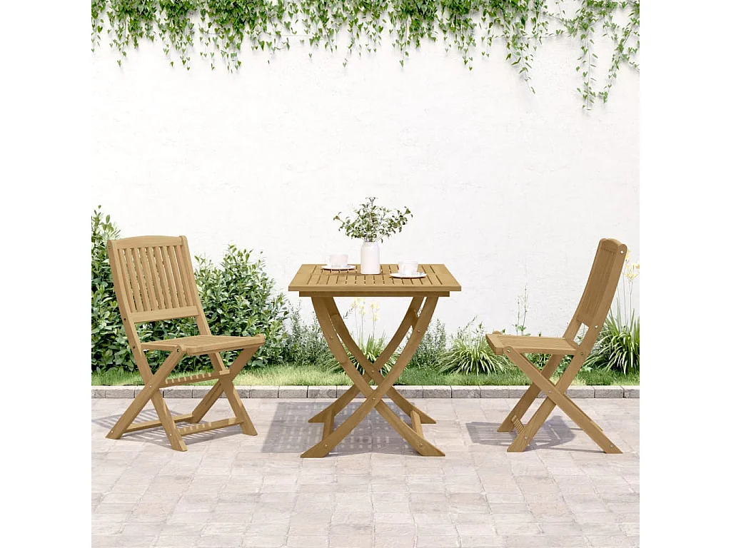 Tuinstoelen 2 st inklapbaar 57x48,5x90 cm massief acaciahout