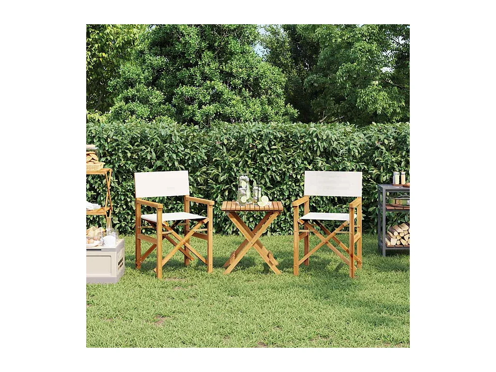 Chaises de metteur en scène pliantes lot de 2 Bois teck massif