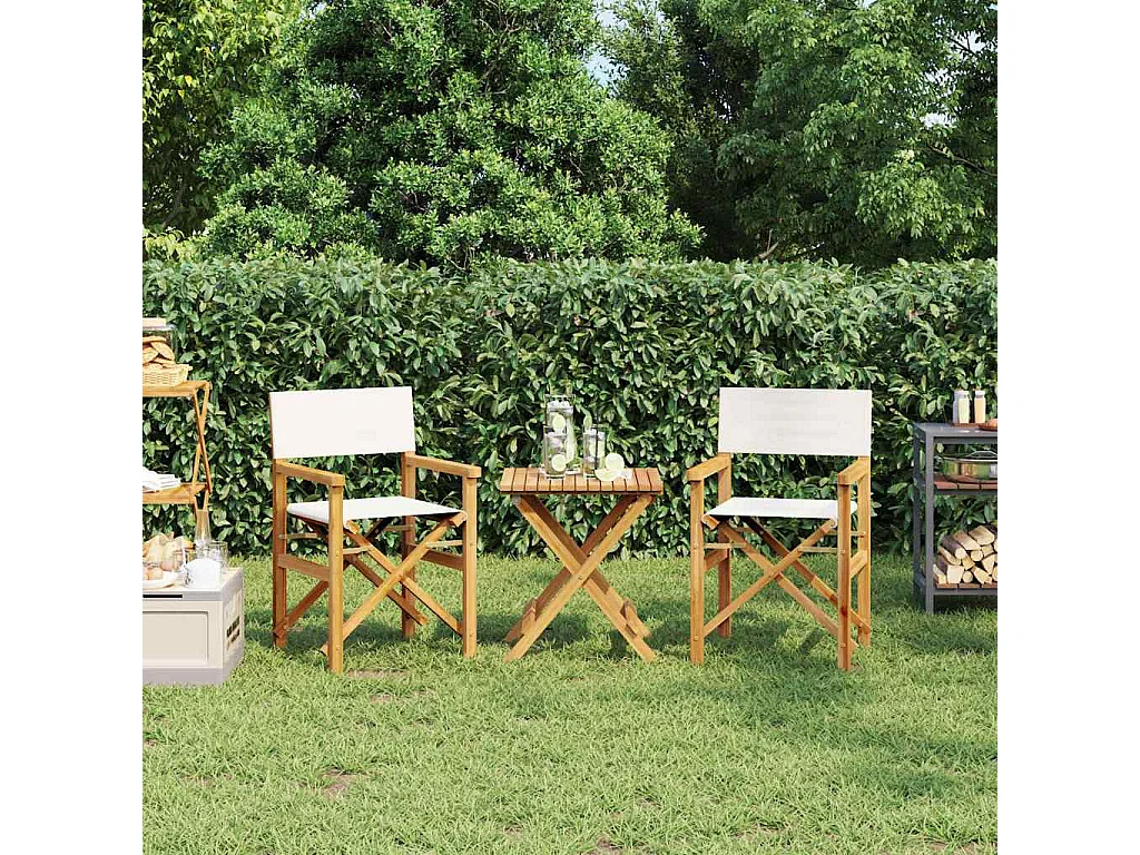 Chaises de metteur en scène pliantes lot de 2 Bois teck massif