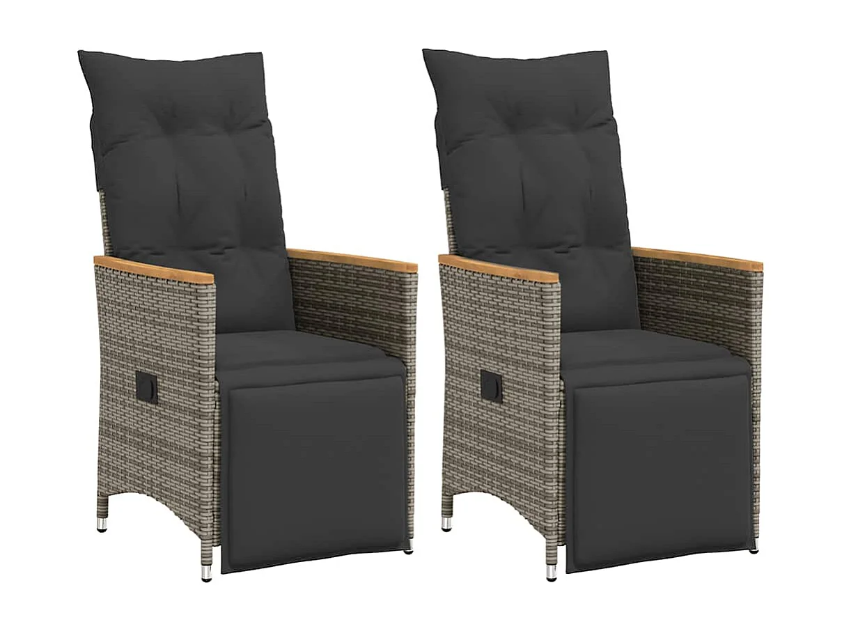Chaises inclinables de jardin lot de 2 et coussins gris rotin