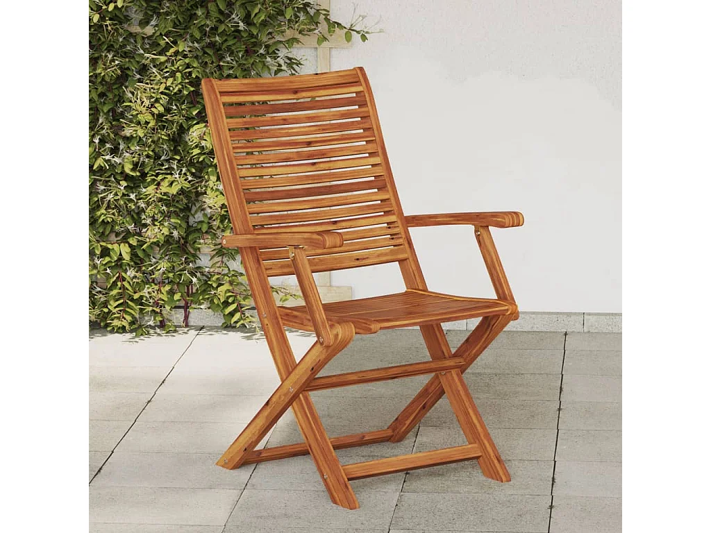 Chaises pliantes de jardin avec accoudoir lot de 2