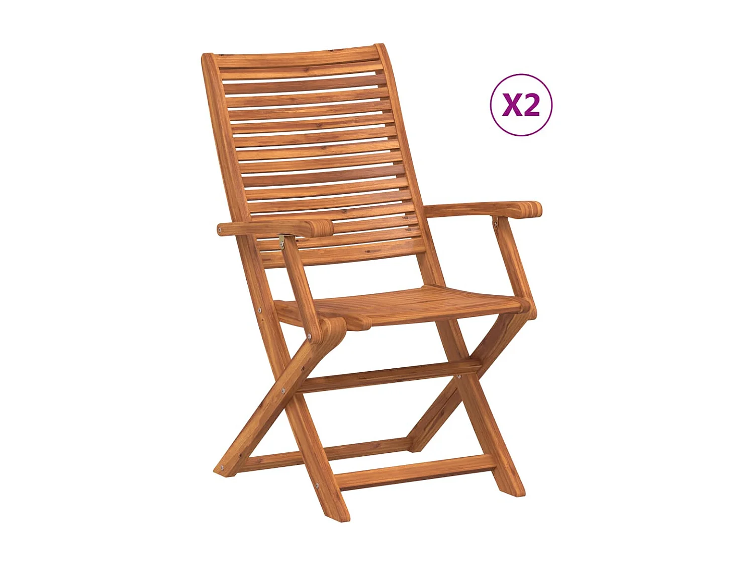Chaises pliantes de jardin avec accoudoir lot de 2