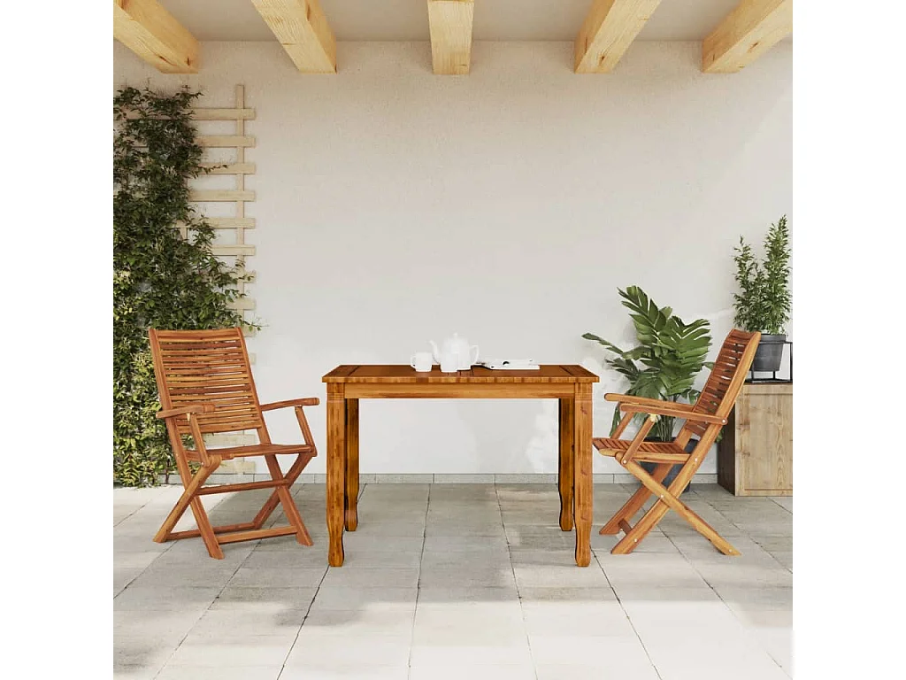 Chaises pliantes de jardin avec accoudoir lot de 2