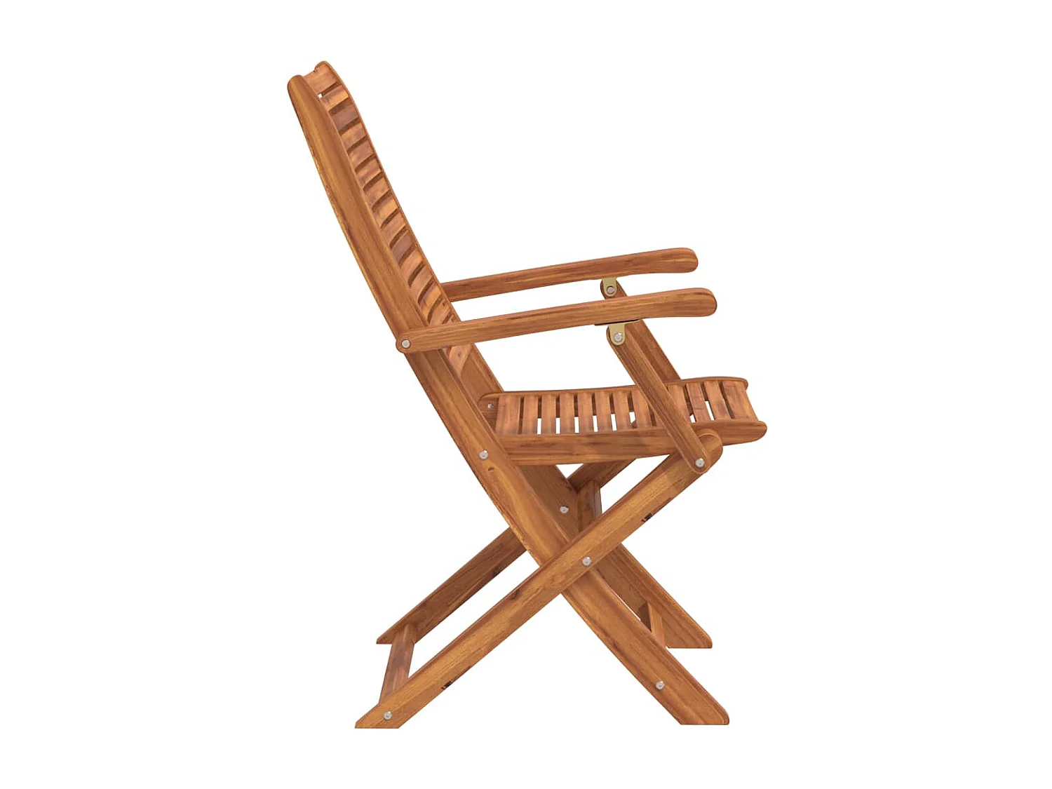 Chaises pliantes de jardin avec accoudoir lot de 2