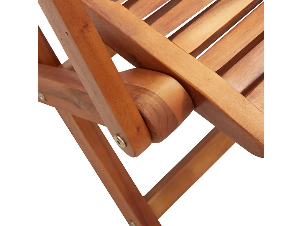 Chaises pliantes de jardin avec accoudoir lot de 2