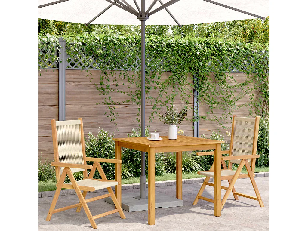 Chaises de jardin lot de 2 beige bois d'acacia et polypropylène