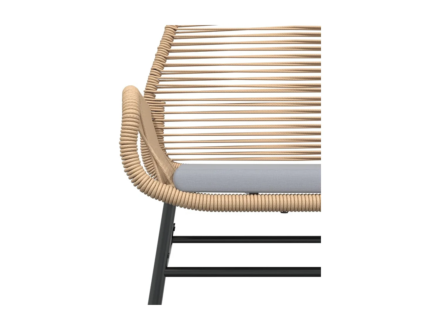 Chaises de jardin lot de 2 et coussins marron rotin