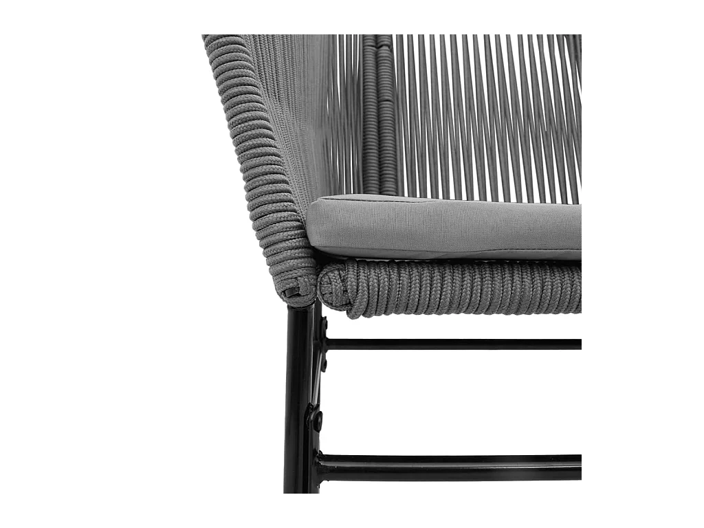 Chaises de jardin lot de 2 avec coussins gris résine tressée