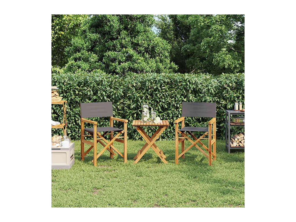 Chaises de metteur en scène pliantes lot de 2 Bois teck massif