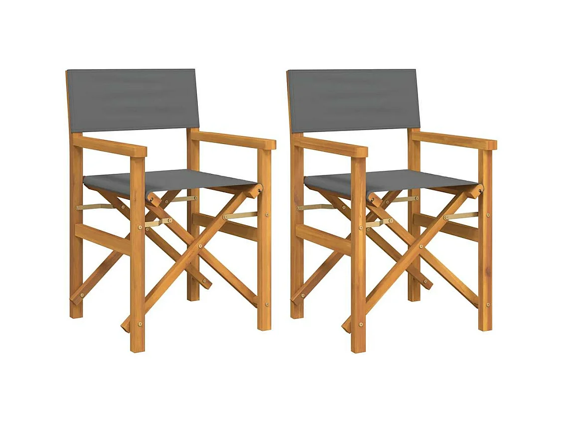 Chaises de metteur en scène pliantes lot de 2 Bois teck massif