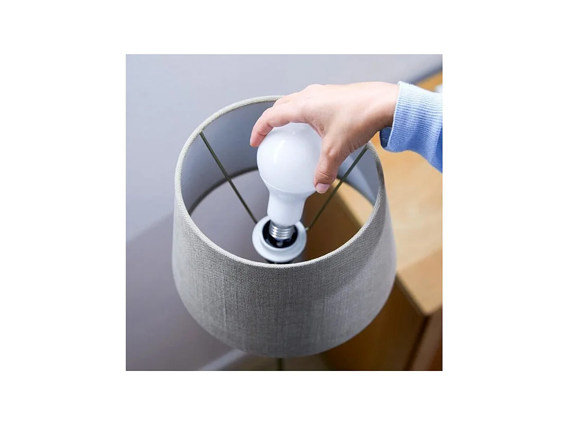 WiZ Ampoule connectee Blanc variable E27 100W