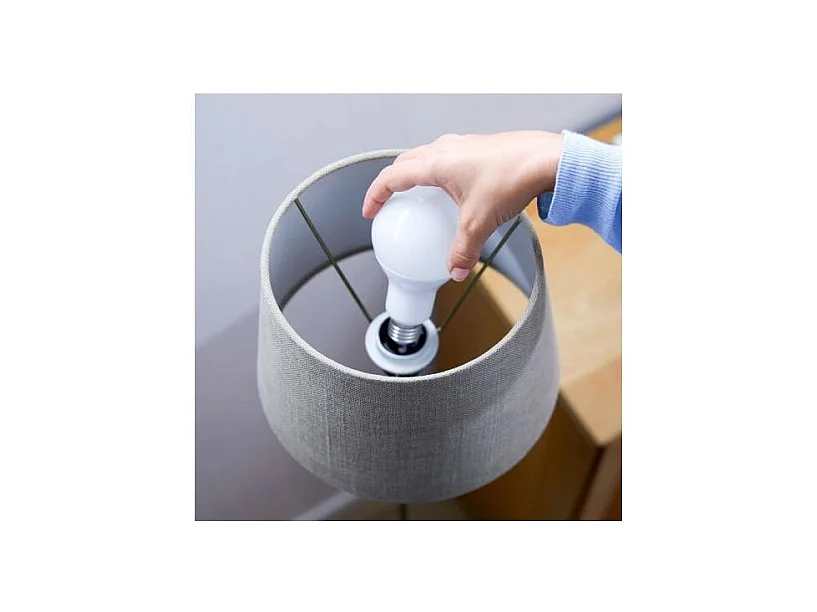 WiZ Ampoule connectee Blanc variable E27 100W