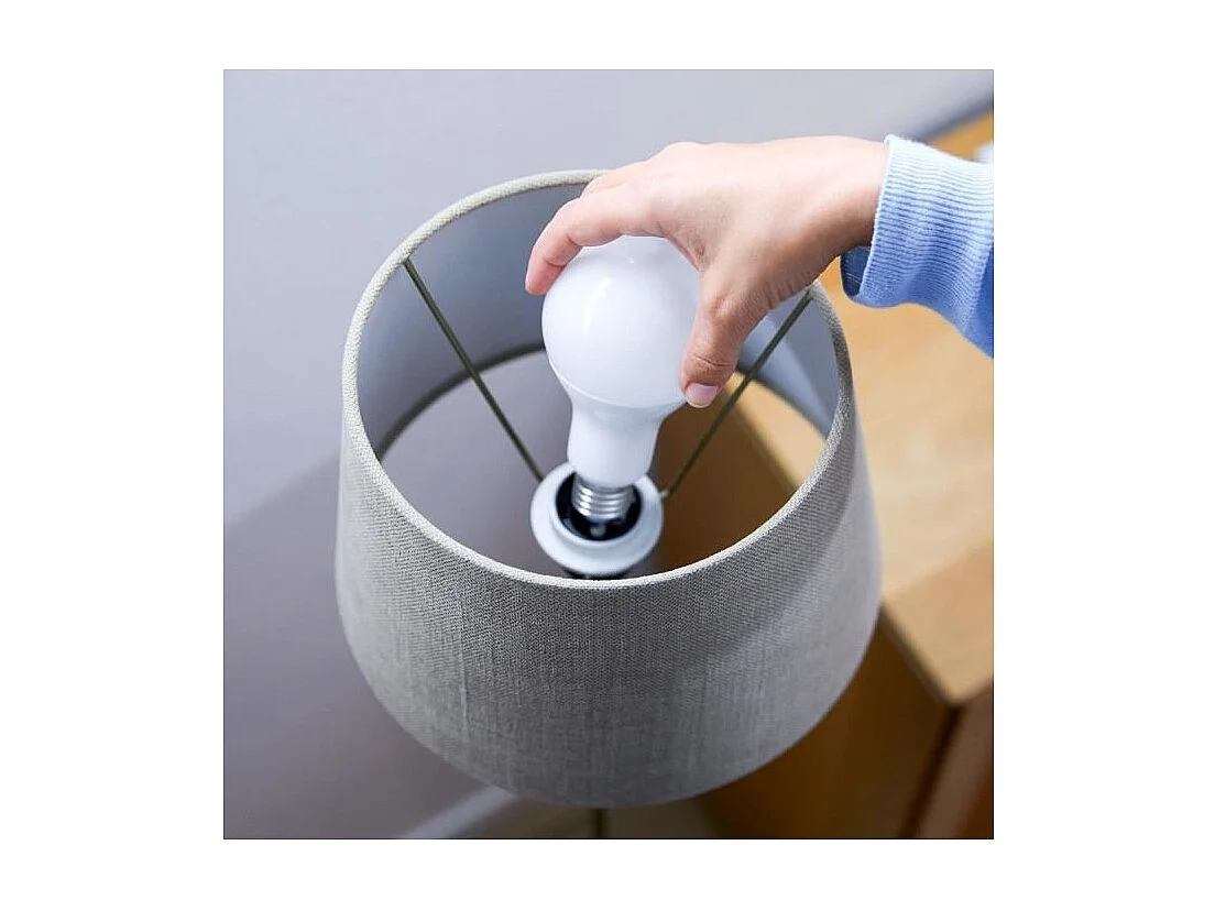 WiZ Ampoule connectee Blanc variable E27 100W