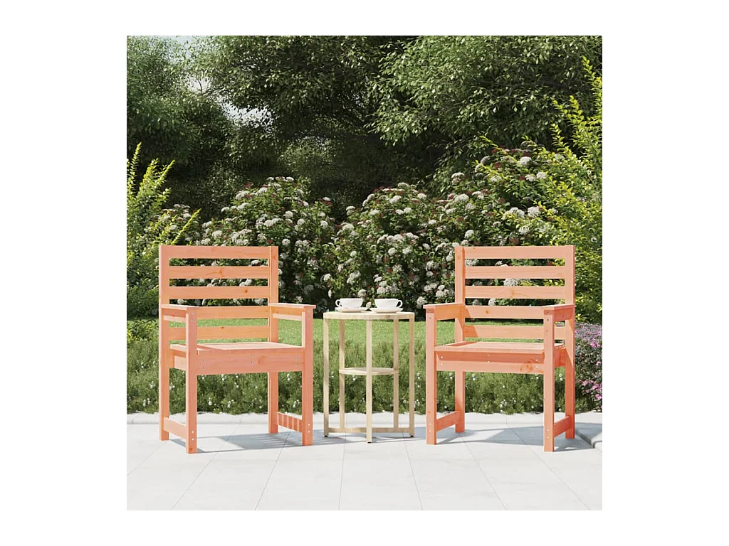 Chaises de jardin 2 pièces 60x48x91 cm bois massif de douglas