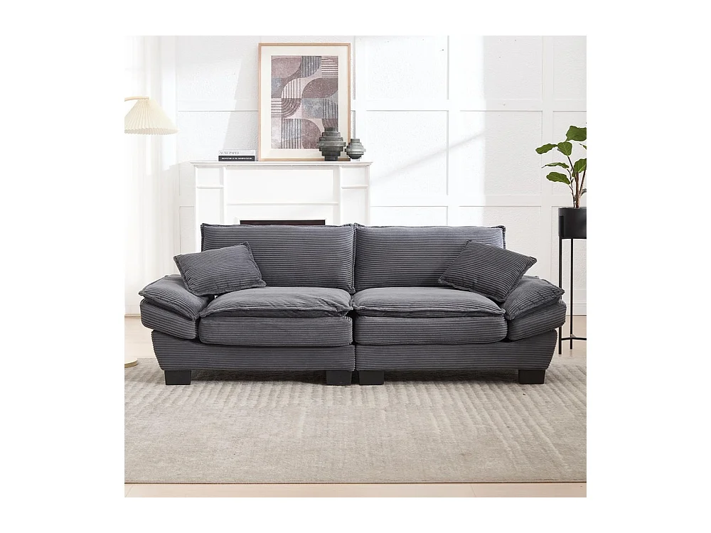 Canapé droit double moderne avec un matelas un coussin suffisant confortable mais spacieux gris foncé