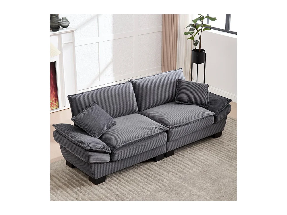 Canapé droit double moderne avec un matelas un coussin suffisant confortable mais spacieux gris foncé