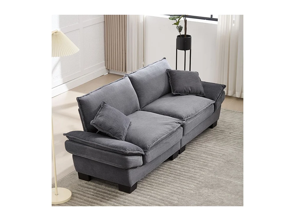 Canapé droit double moderne avec un matelas un coussin suffisant confortable mais spacieux gris foncé