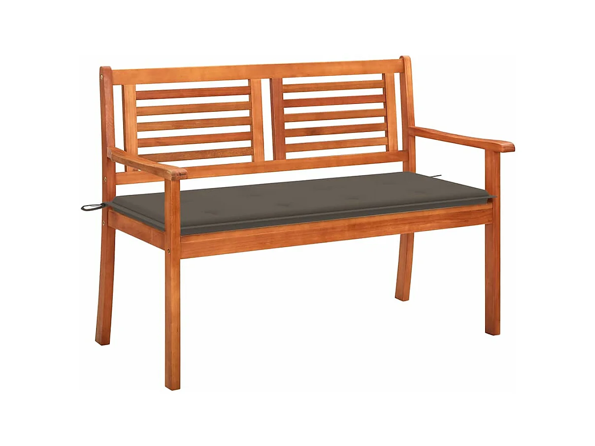 Banc de jardin 2 places avec coussin 120 cm Bois d'eucalyptus