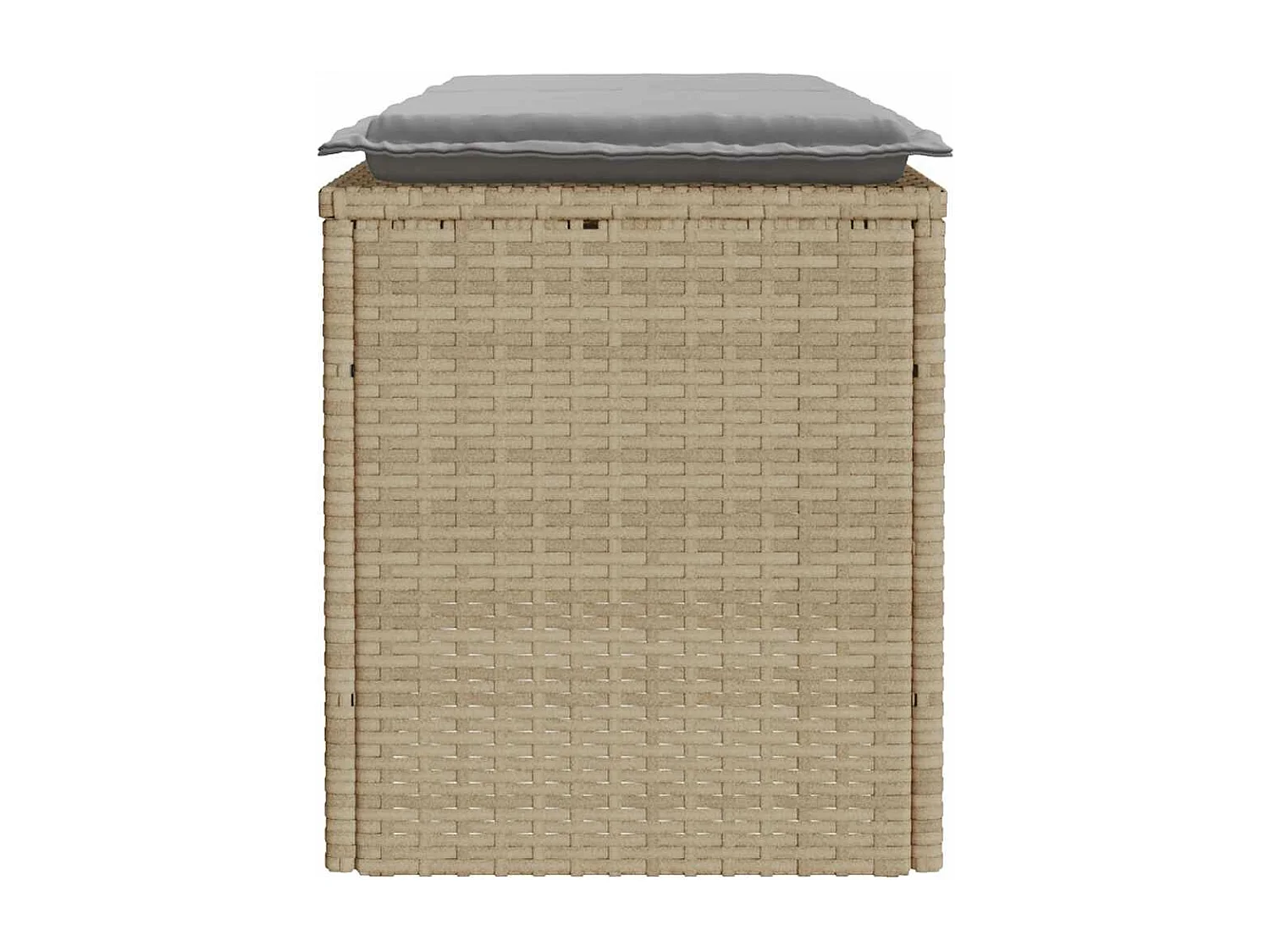 Banco de jardín con cojín ratán sintético beige 110x40x44 cm