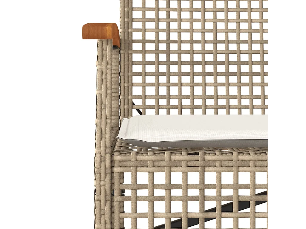 Banc de jardin avec coussin beige résine tressée et acacia