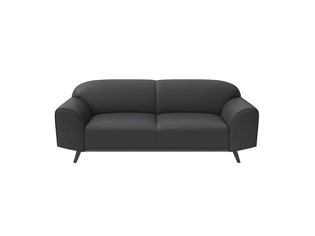 Mesonica Canapé 2 places en cuir naturel gris ombré