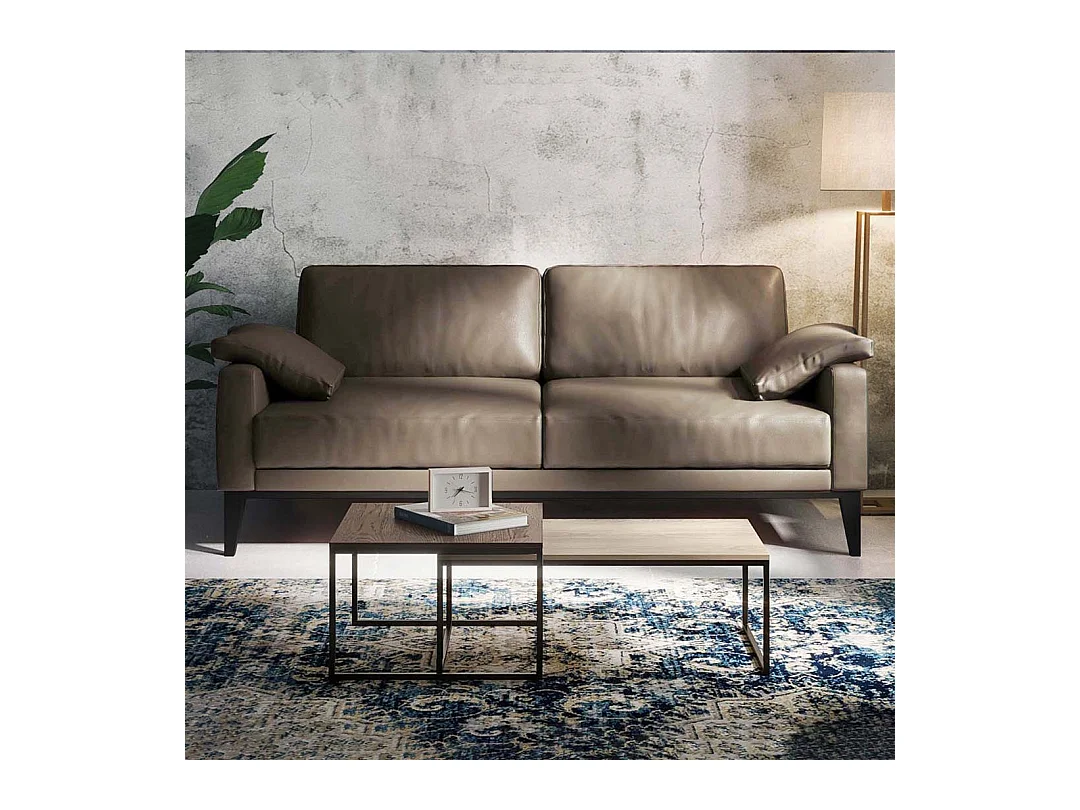 Canapé 2 places Musso gris fossile