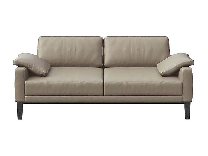 Canapé 2 places Musso gris fossile