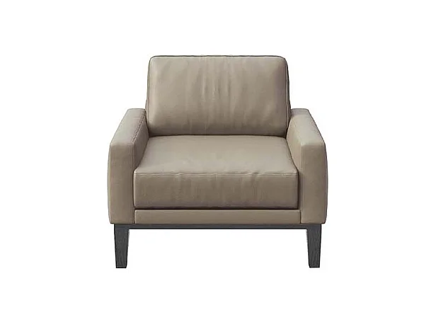 Musso fauteuil fossiel grijs