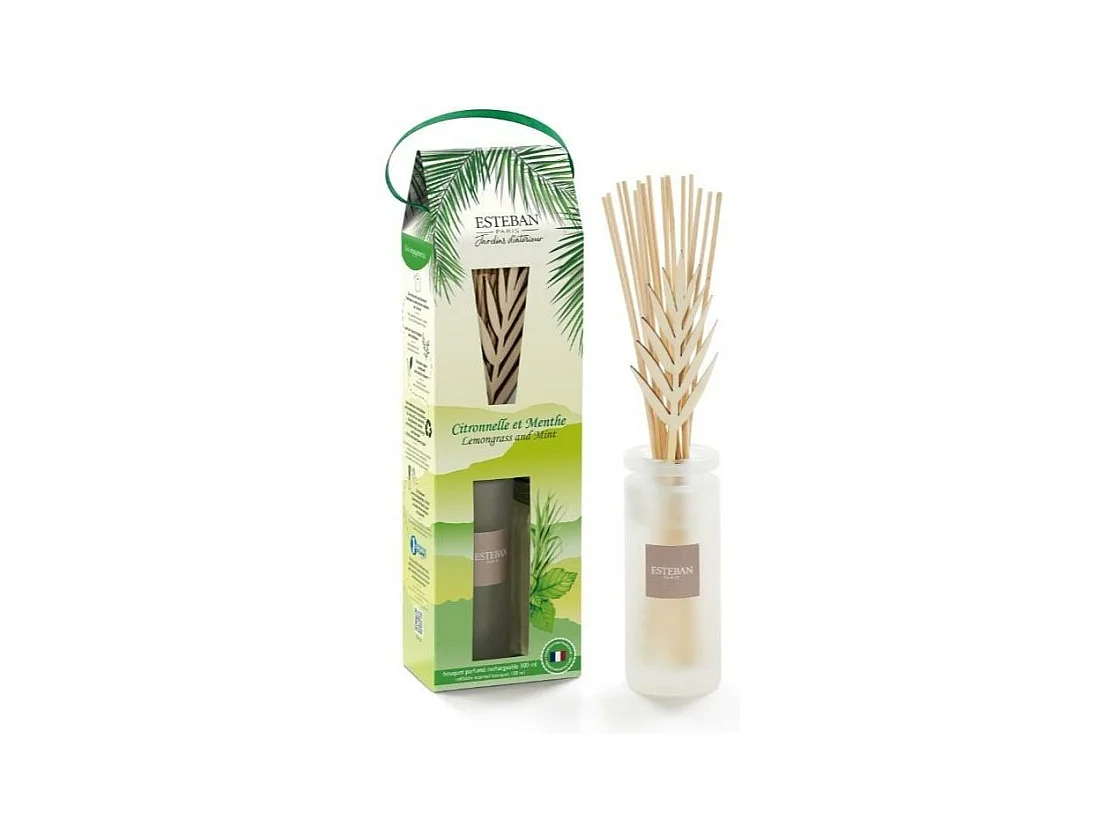 Bouquet initial Citronnelle et Menthe 100 ml