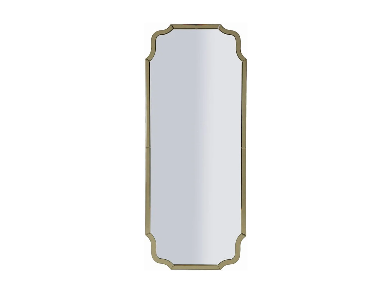 Ingelijste Spiegel Klassiek 10, Goud, 150x60x2 cm, Epikasa