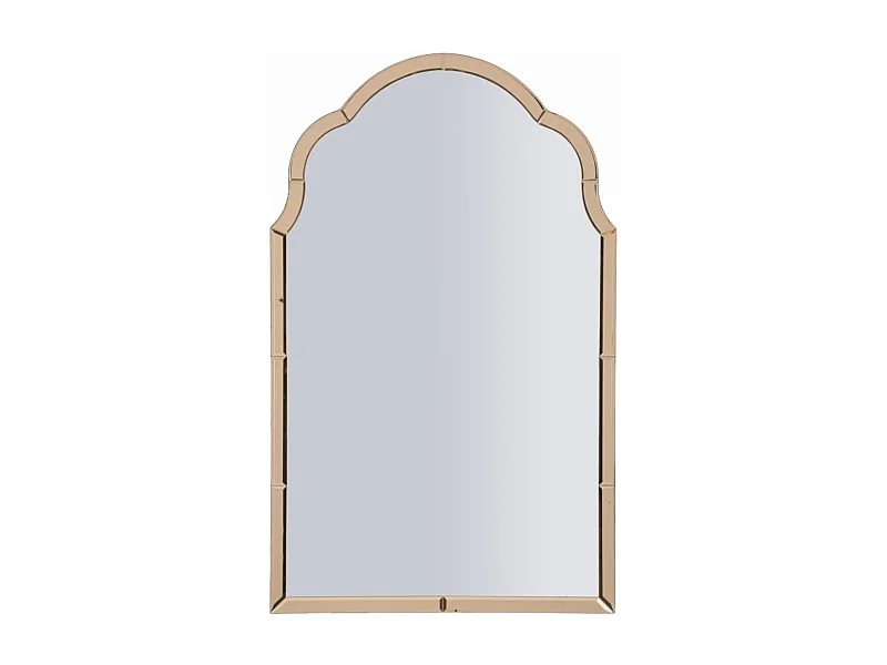Specchio con Cornice Classico 6, Rosa, 100x62x1 cm, Epikasa