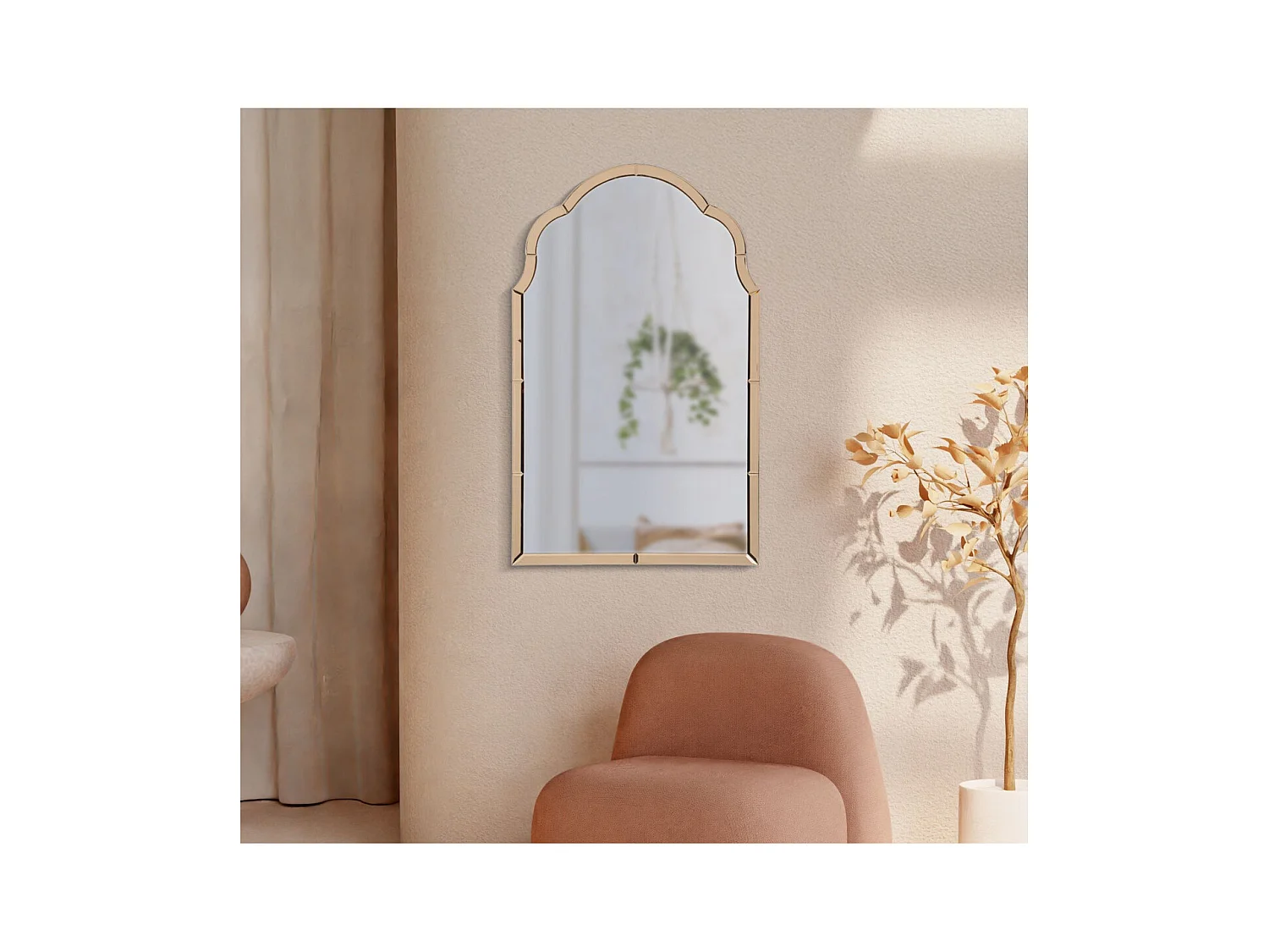 Specchio con Cornice Classico 6, Rosa, 100x62x1 cm, Epikasa