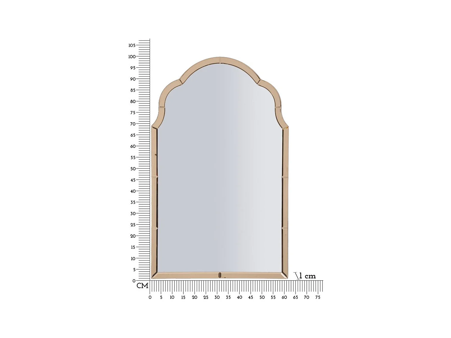 Specchio con Cornice Classico 6, Rosa, 100x62x1 cm, Epikasa