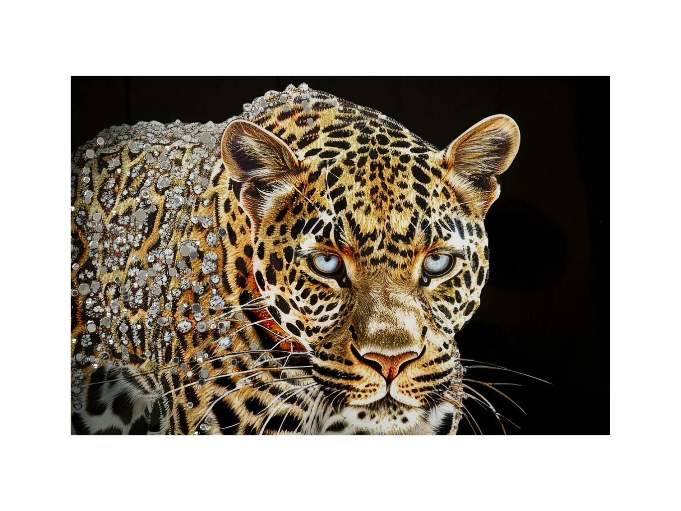Impressão em Tela Leopardo, Multicolorido, 82x82x4 cm, Epikasa