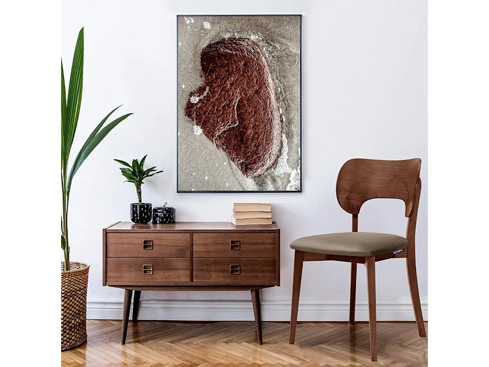 Chaise de salle à manger LYCO (lot de 2)