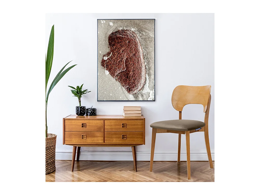 Chaise de salle à manger LYCO (lot de 2)