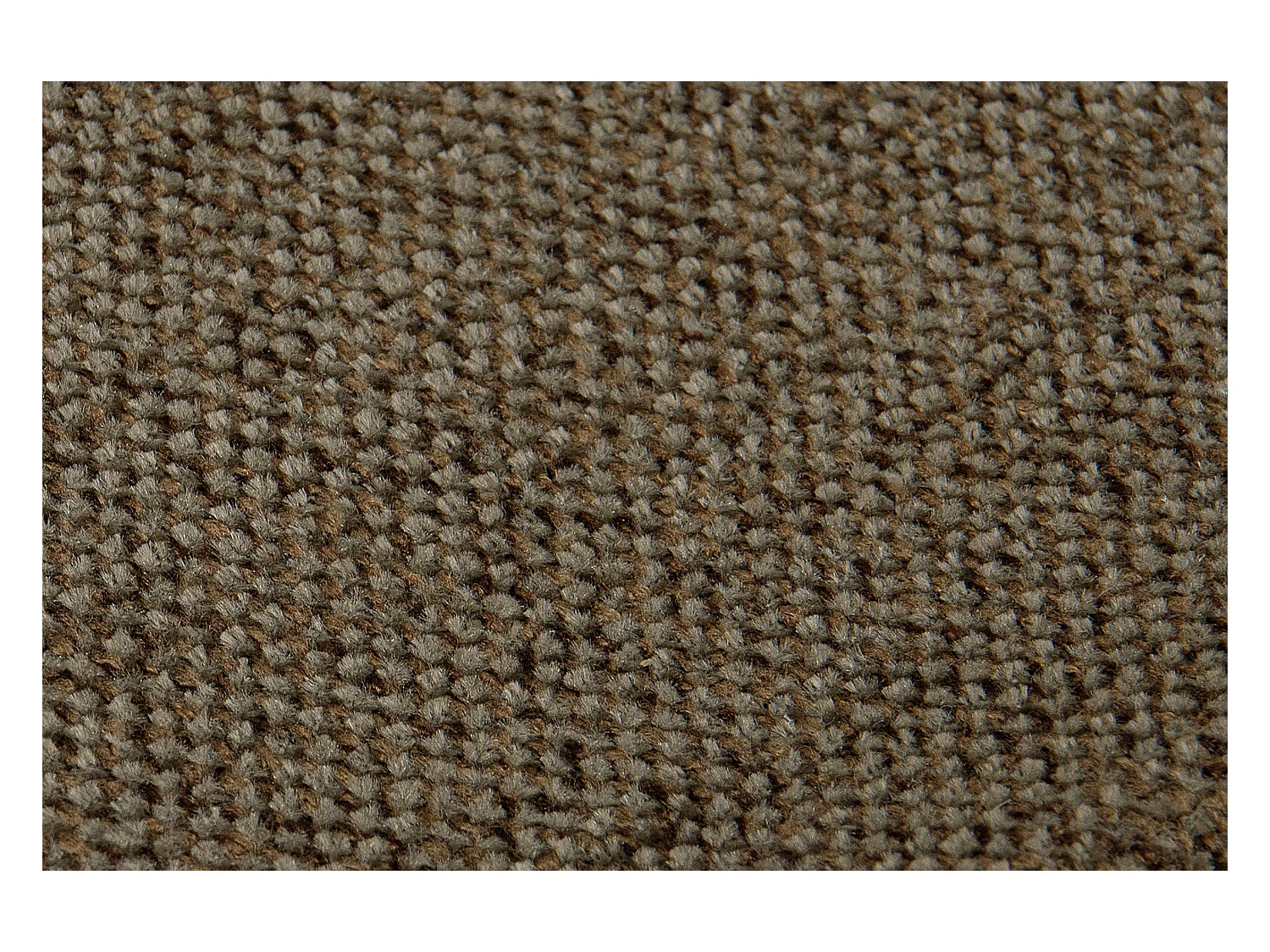 Canapé 2 places - Marron café - TAGIO