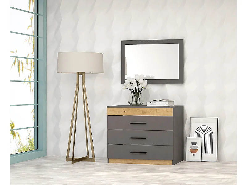 Cassettiera moderna per camera da letto con 3 cassetti in grigio grafite e rovere CG27