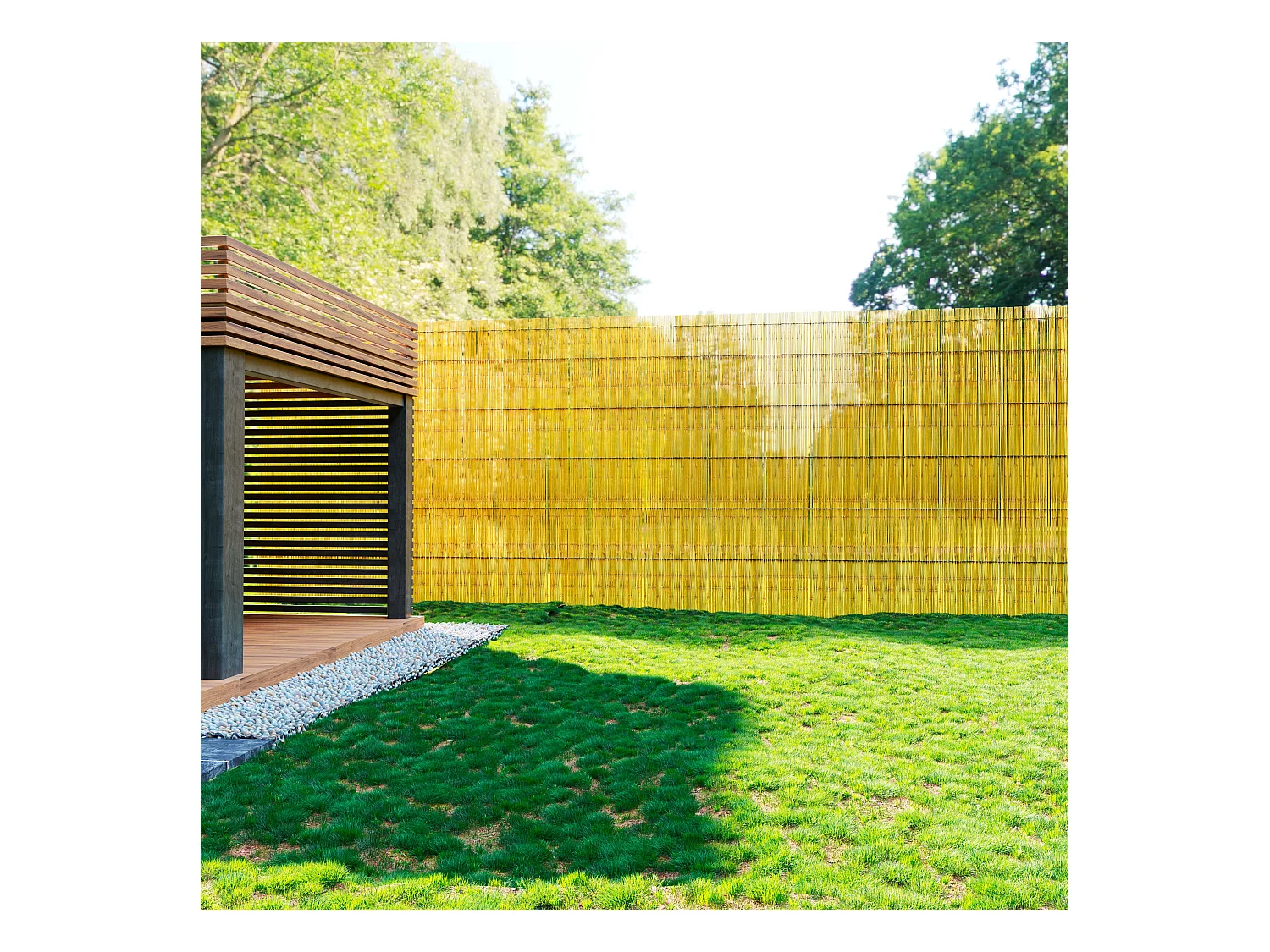 Arella In Canna Cannette In Bamboo Pelato Bambù Naturale Da 5 mm Recinzione Giardino Ringhiera Balcone Terrazza Piscina Stuoia Ombreggiante Frangivista 1 x 3 M