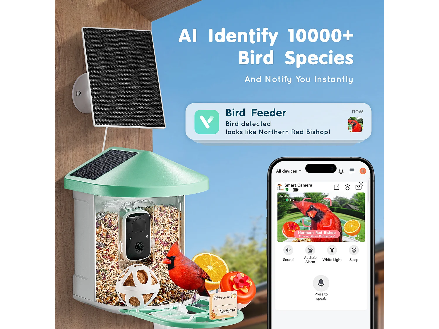 Mangeoire à Oiseaux SucceBuy Intelligente, Caméra, IA plus de 10 000 Espèces, Solaire