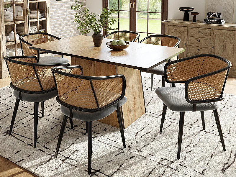 Set di 6 sedie - Schienale in rattan e cuscino in velluto - gambe in metallo - Nero+Naturale