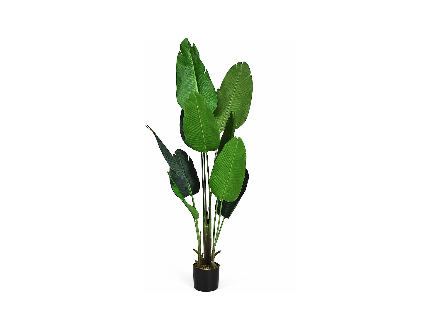 160 cm kunstplant tropische palm, kunstmatige Monstera, slangenplant, kamerplant met stevige pot en 10 bladeren, groene plant voor tuin, kantoor, kamerdecoratie