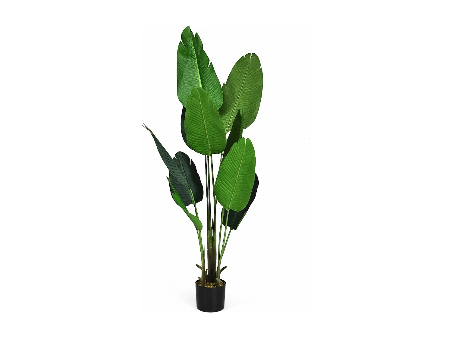 160 cm kunstplant tropische palm, kunstmatige Monstera, slangenplant, kamerplant met stevige pot en 10 bladeren, groene plant voor tuin, kantoor, kamerdecoratie