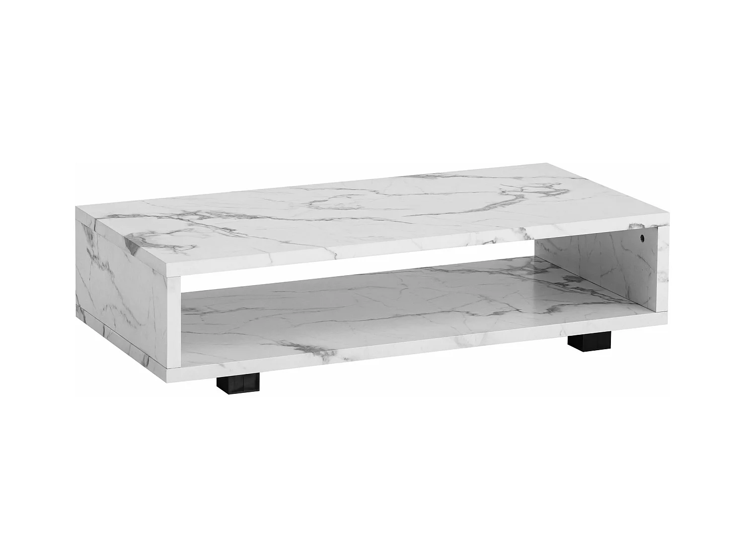 Table Basse de Salon 100 cm Grande Moderne Rangement Rectangulaire