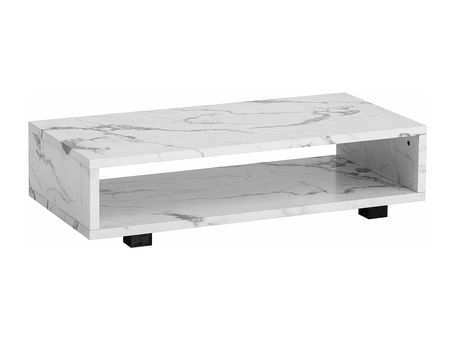 Table Basse de Salon 100 cm Grande Moderne Rangement Rectangulaire
