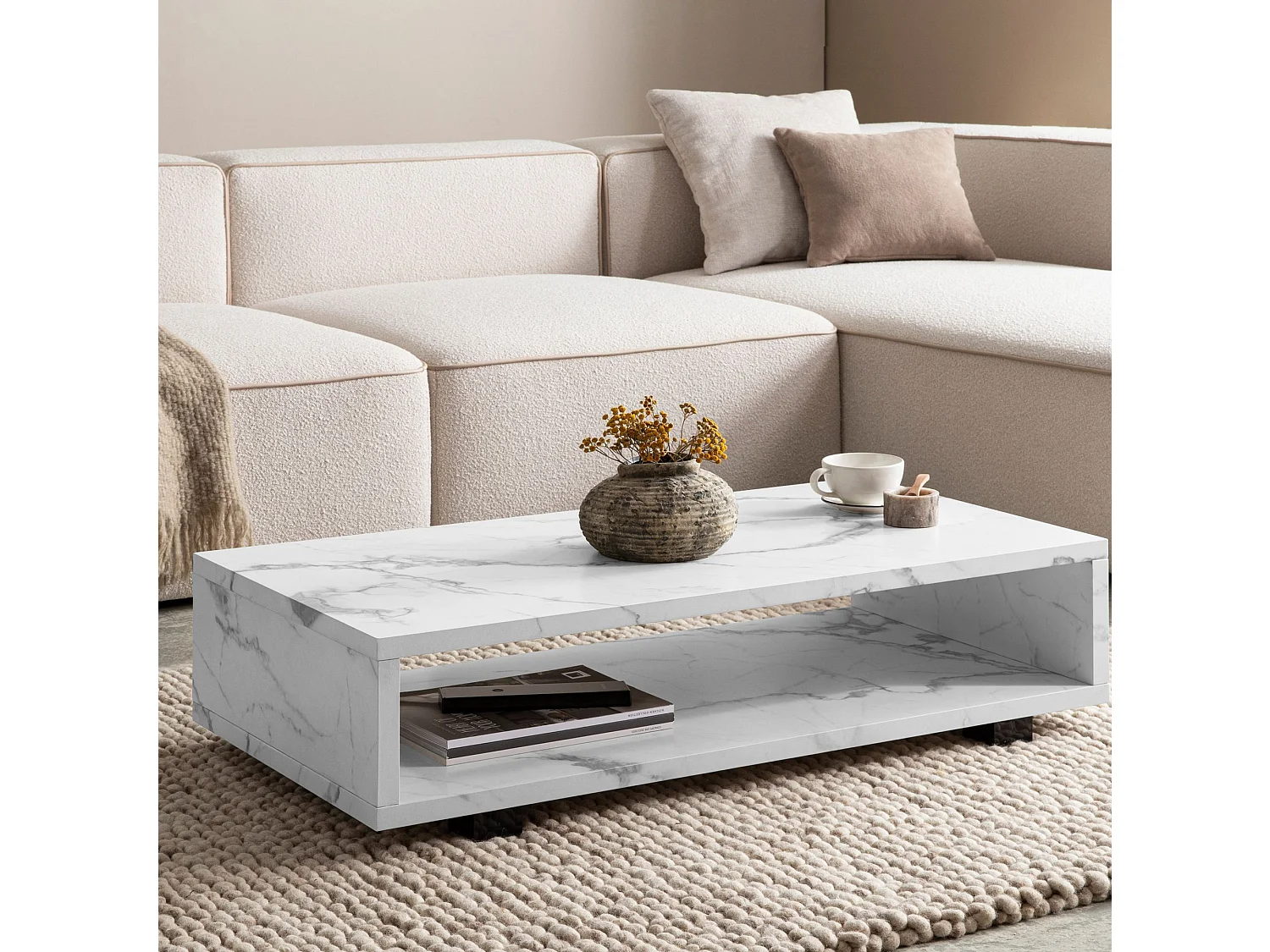 Table Basse de Salon 100 cm Grande Moderne Rangement Rectangulaire