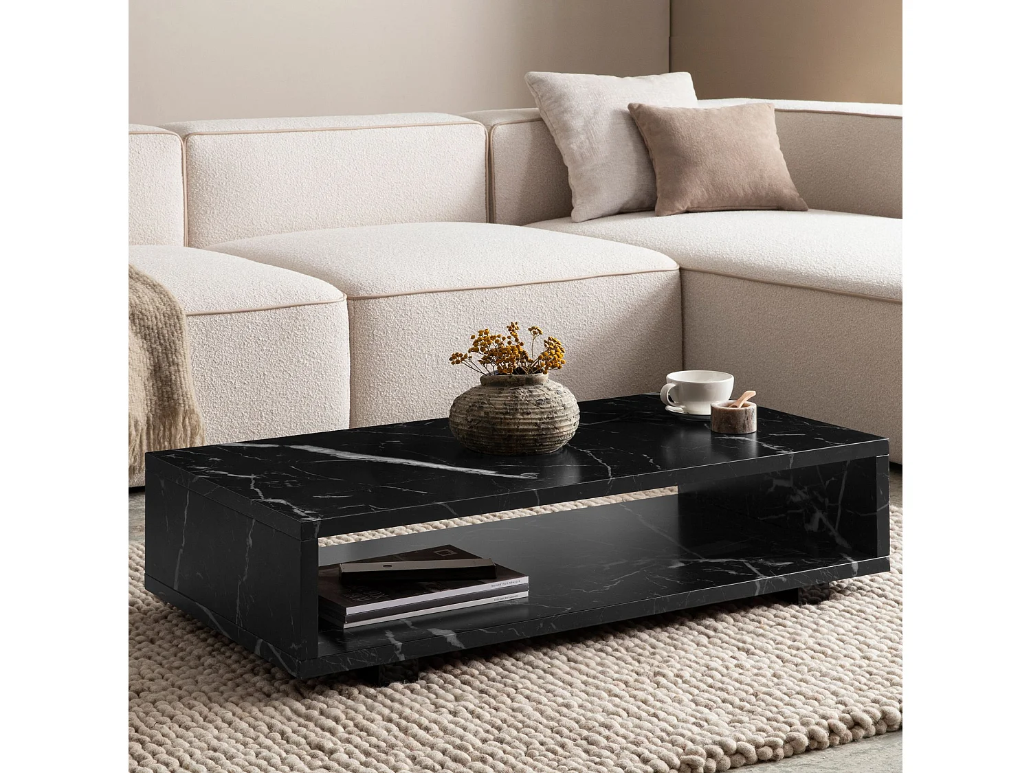 Table Basse de Salon 100 cm Grande Moderne Rangement Rectangulaire