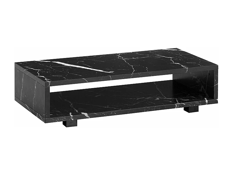 Table Basse de Salon 100 cm Grande Moderne Rangement Rectangulaire